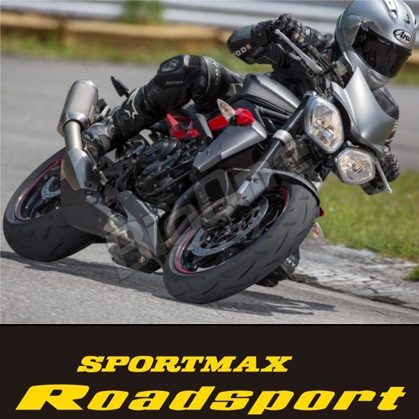 DUNLOP SPORTMAX Roadsport Versys1000 ZX-9R ZX-11 ZX-6R BUELL XB12R XB12STT XB12Scg XB12X XB9SX 180/55ZR17 M/C 73W TL リア タイヤの画像2