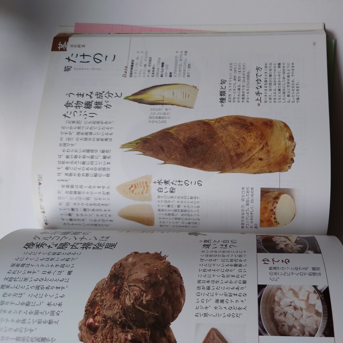 からだにおいしい野菜の便利帳　高橋書店　坂木利隆監修　2008年発行_画像7