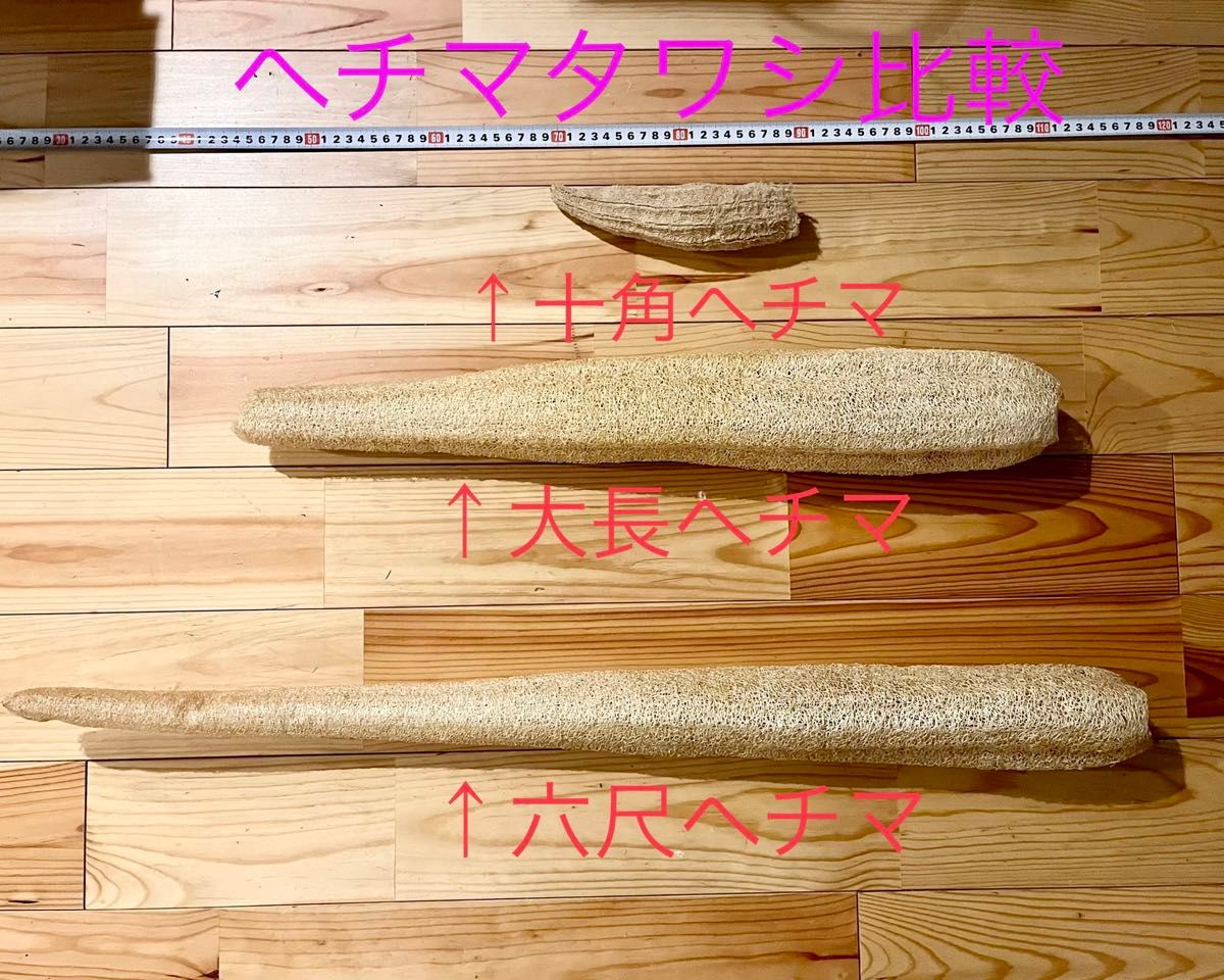 レア! ヘチマ種3種セット loofa  絲瓜 瓜即購入OK