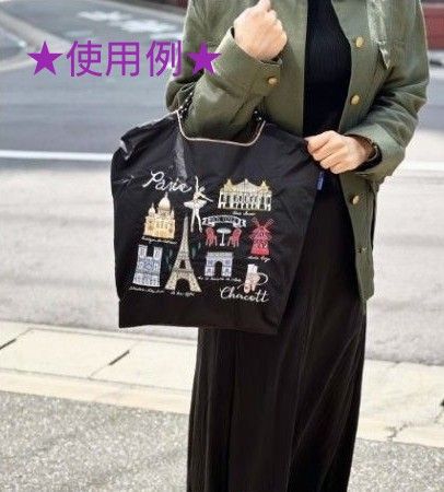 既に完売 主役級 刺繍が映える新色の黒 【新品・未使用】Chacott 既に完売 主役級 刺繍が映える新色の黒 【新品・未使用】Chacott