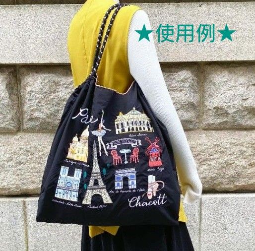 既に完売 主役級 刺繍が映える新色の黒 【新品・未使用】Chacott 既に完売 主役級 刺繍が映える新色の黒 【新品・未使用】Chacott