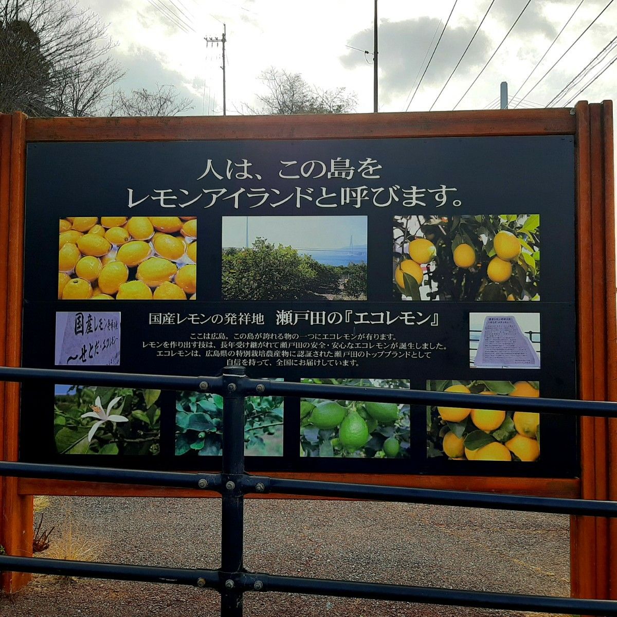 広島県 瀬戸田産 レモン 2.5kg 減農薬 ノーワックス 産地直送