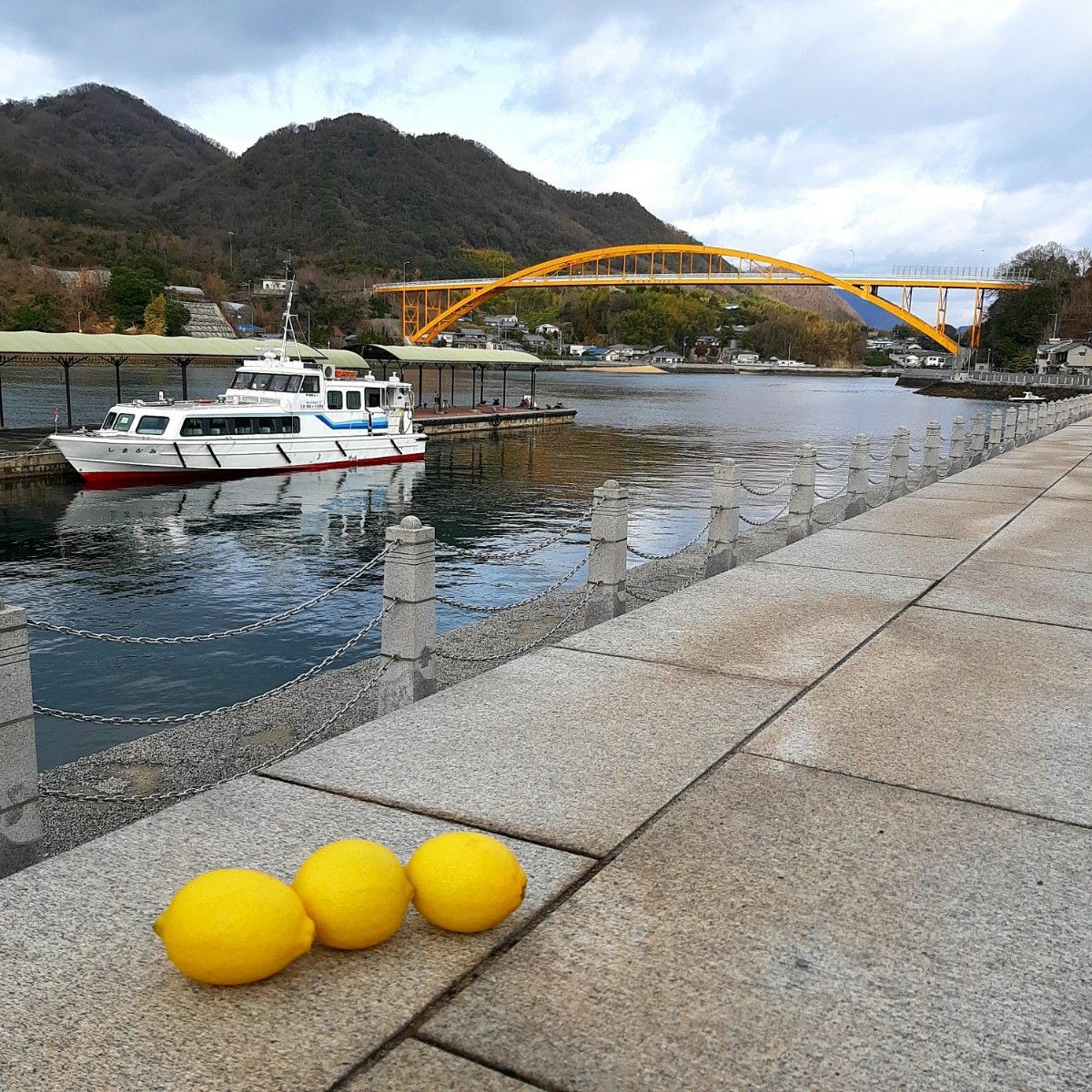 【広島県/瀬戸田産】レモン 1kg 減農薬 ノーワックス 産地直送