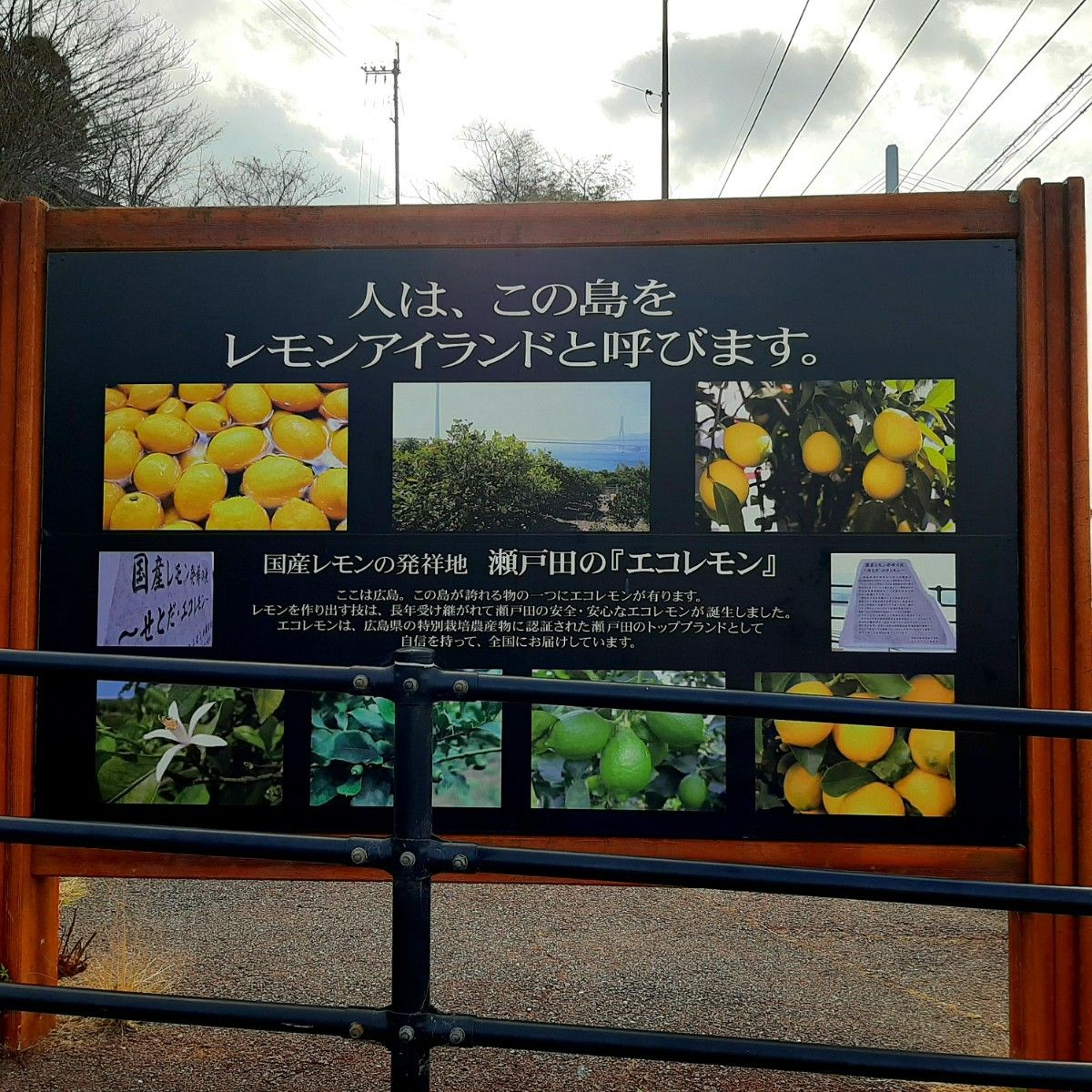 【広島県/瀬戸田産】レモン 1kg 減農薬 ノーワックス 産地直送