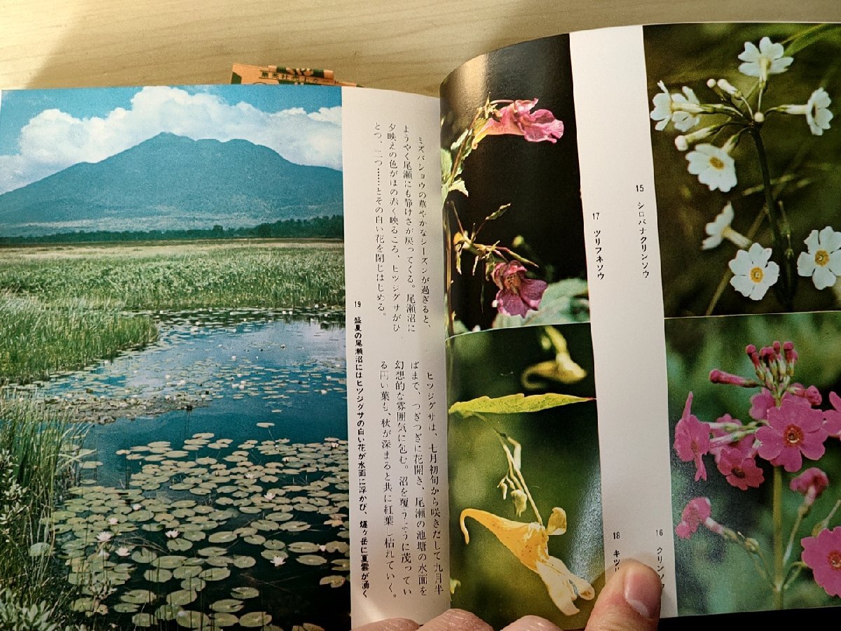  height .. flower ... flower . guide . mountain .1969.6 the first version no. 1. obi attaching Shueisha / tail ./ war place pieces ./. interval height ./ on Kawauchi / Hokkaido . natural flower ./ door . height ./ plant /B3228777