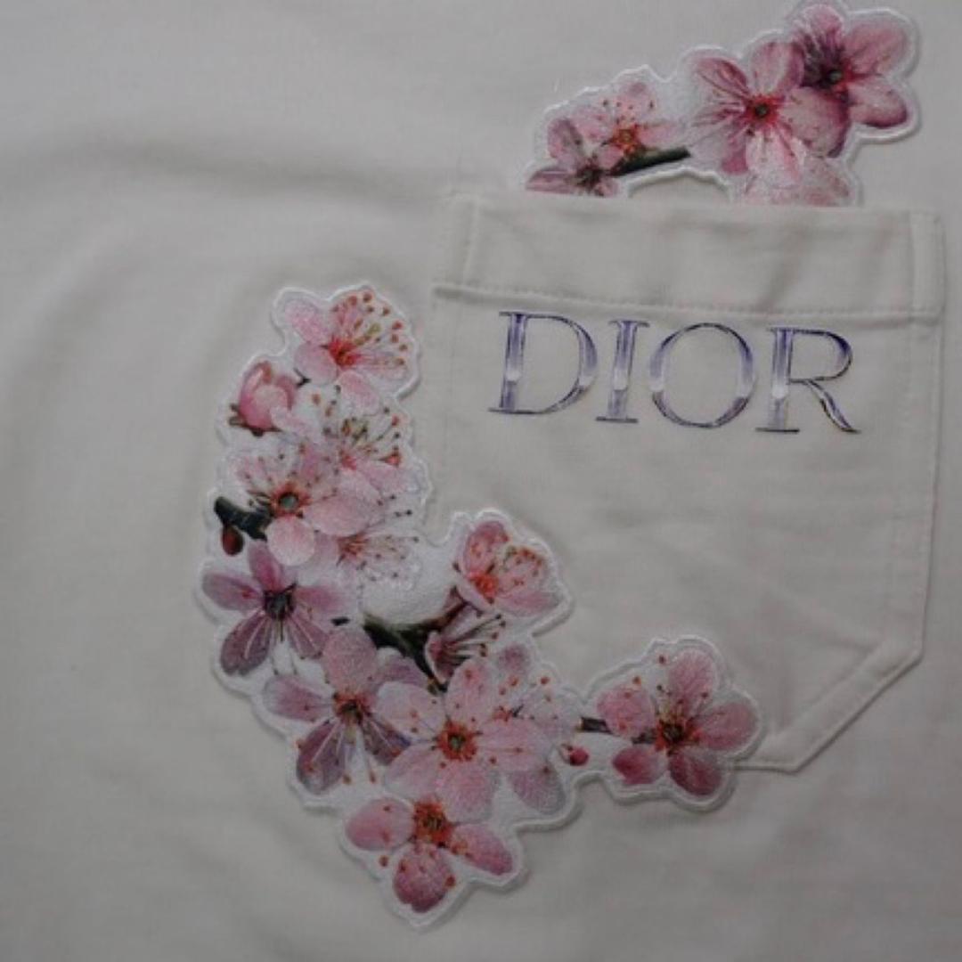 Christian Dior クリスチャンディオール Tシャツ ロゴ オブリークの画像7