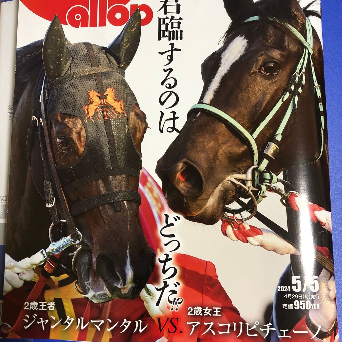 週刊gallop 5月5日号　　応募券無し　　ギャロップ_画像1