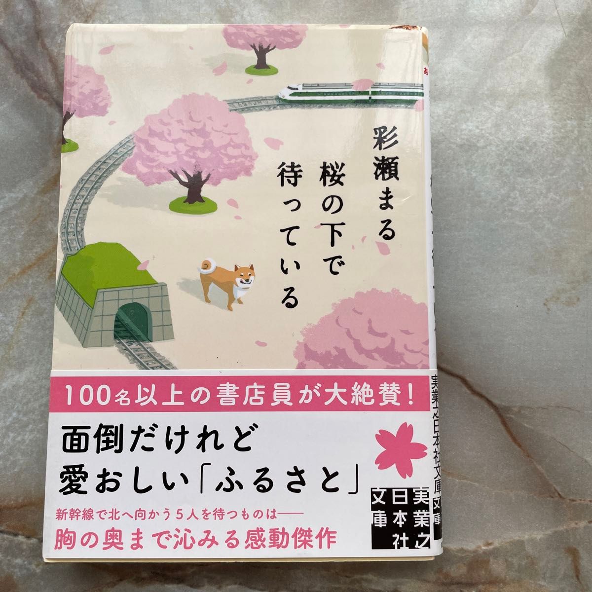 桜の下で待っている （実業之日本社文庫　あ１９－１） 彩瀬まる／著