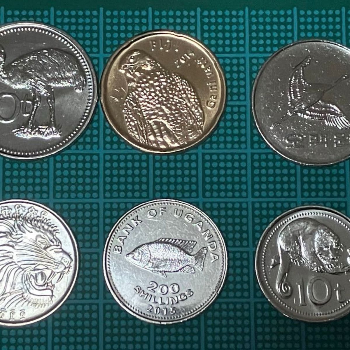 外国 動物硬貨 6枚 外国コイン|Yahoo!フリマ(旧PayPayフリマ) 外国 動物硬貨 6枚 外国コイン|Yahoo!フリマ(旧PayPayフリマ)