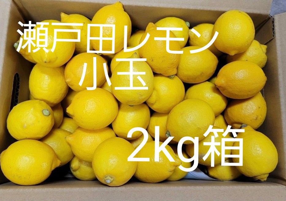 瀬戸田レモン　小玉果　2kg箱
