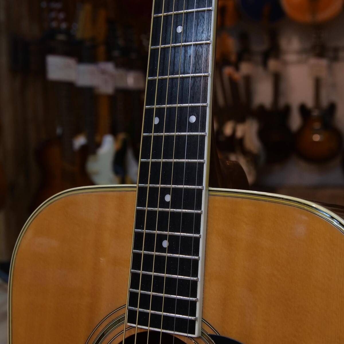 MORRIS：MD-51■アコースティックギター■現状お渡し■下取り放出品■ドルフィンギターズヤフオク■DOLPHIN GUITARSの画像5