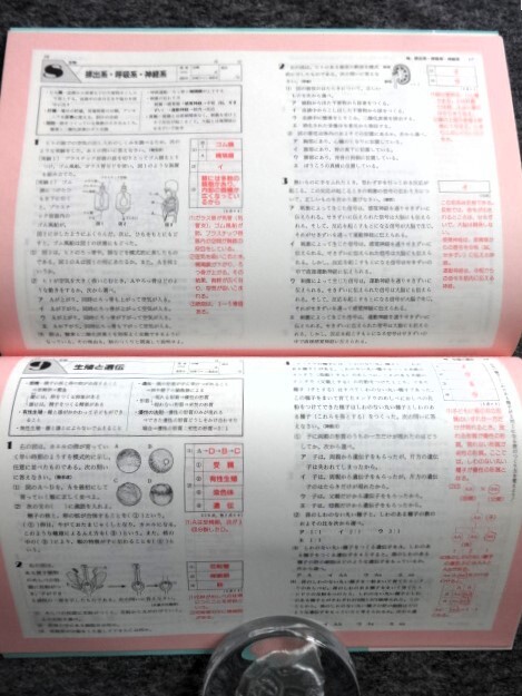 ■4a31　高校入試　分野別テスト　これがキメ手の15回　理科　生物　[赤字解説付解答]　教育書籍　未使用本_画像6