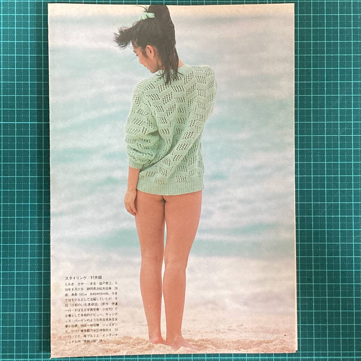 高樹沙耶 切り抜き セクシー グラビア 水着 下着 6ページ 1983年 昭和58年 25.5cmx18.5cm 激写 シースルーの画像5