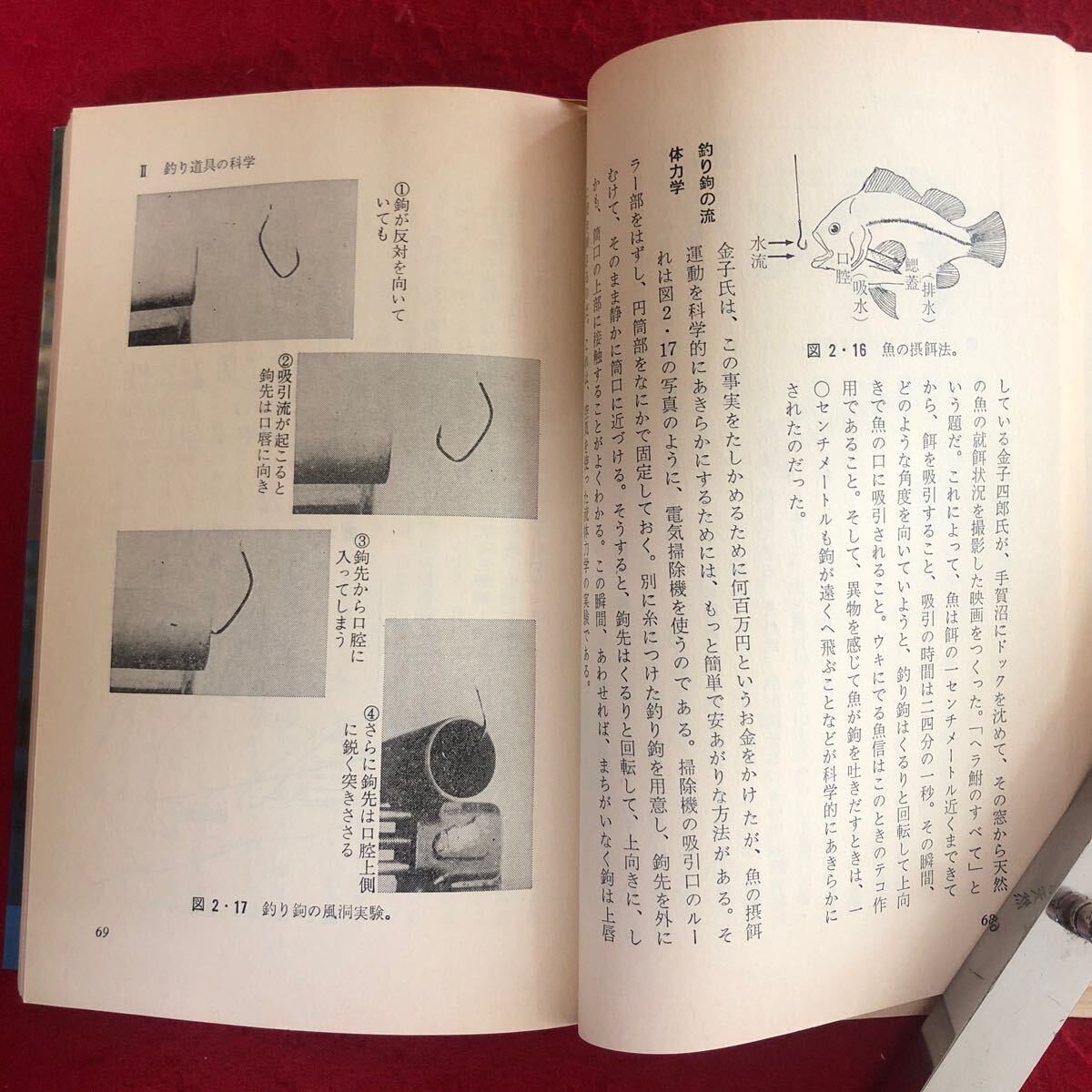 f-530 釣りの科学 新しい釣魚学入門 ブルーバックス B-468 森秀人 著 講談社 昭和56年9月25日第2刷発行 フィッシング アウトドア ※4_画像6