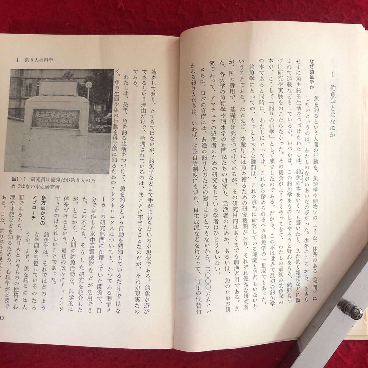 f-530 釣りの科学 新しい釣魚学入門 ブルーバックス B-468 森秀人 著 講談社 昭和56年9月25日第2刷発行 フィッシング アウトドア ※4_画像5