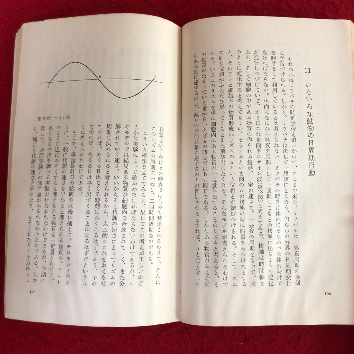 f-640 動物の体内時計 岩波文庫(青版)613 桑原万寿太郎 著 岩波書店 1966年11月21日第1刷発行 生物学 人間 原生生物 神経細胞 他 ※4_画像6