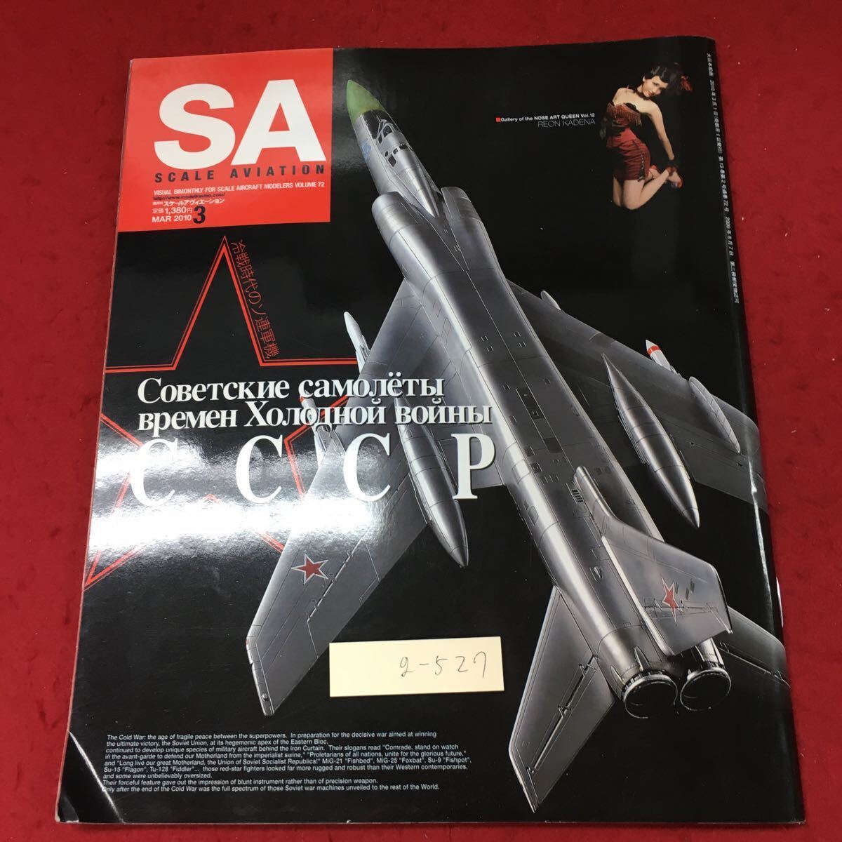 g-527 ※4 隔月刊 スケールアヴィテーション 2010年3月号 2010年3月1日 発行 大日本絵画 雑誌 プラモデル 飛行機 写真 戦闘機_表紙に折りあり
