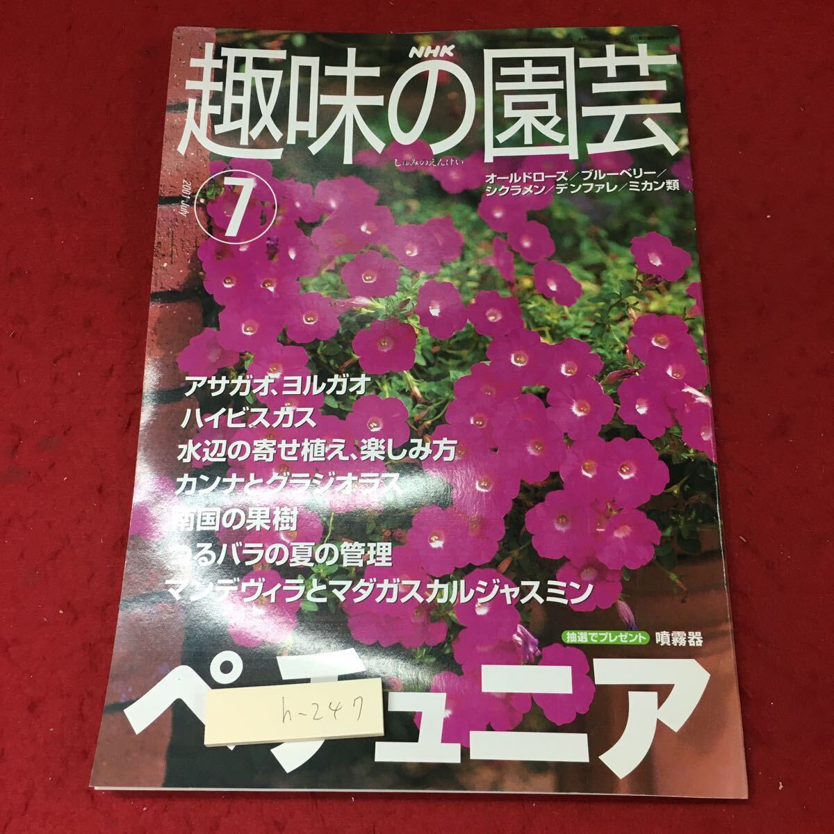 h-247 ※4 NHK 趣味の園芸 2001年7月号 2001年7月1日 発行 日本放送出版協会 雑誌 園芸 趣味 ペチュニア ハイビスカス マンデヴィラ_表紙に折りあり