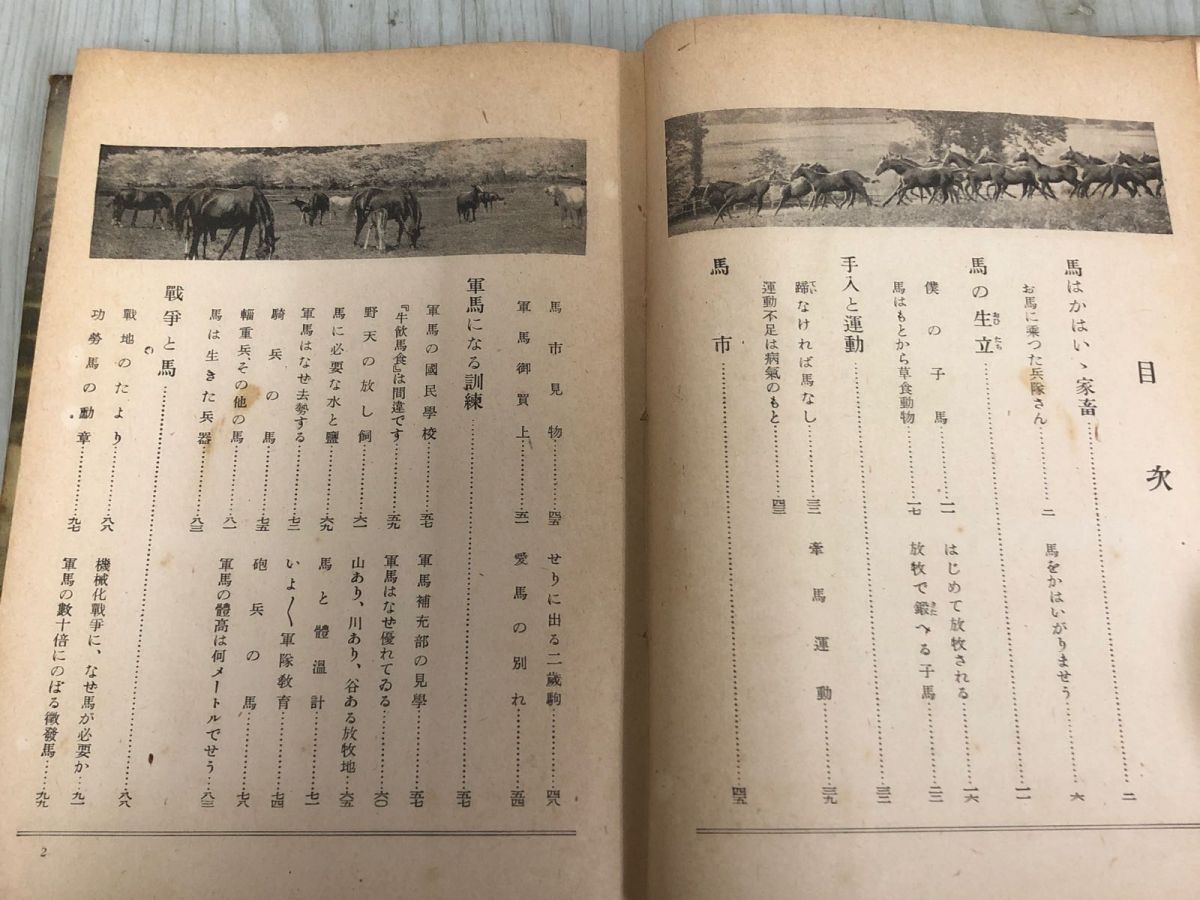 3-◇改訂版 愛馬讀本 読本 小津茂郎 昭和18年 7月10日 1943年 大日本雄辯會講談社 シミ汚れ・折れ破れ有 馬の生立 軍馬になる訓練 競馬_画像8