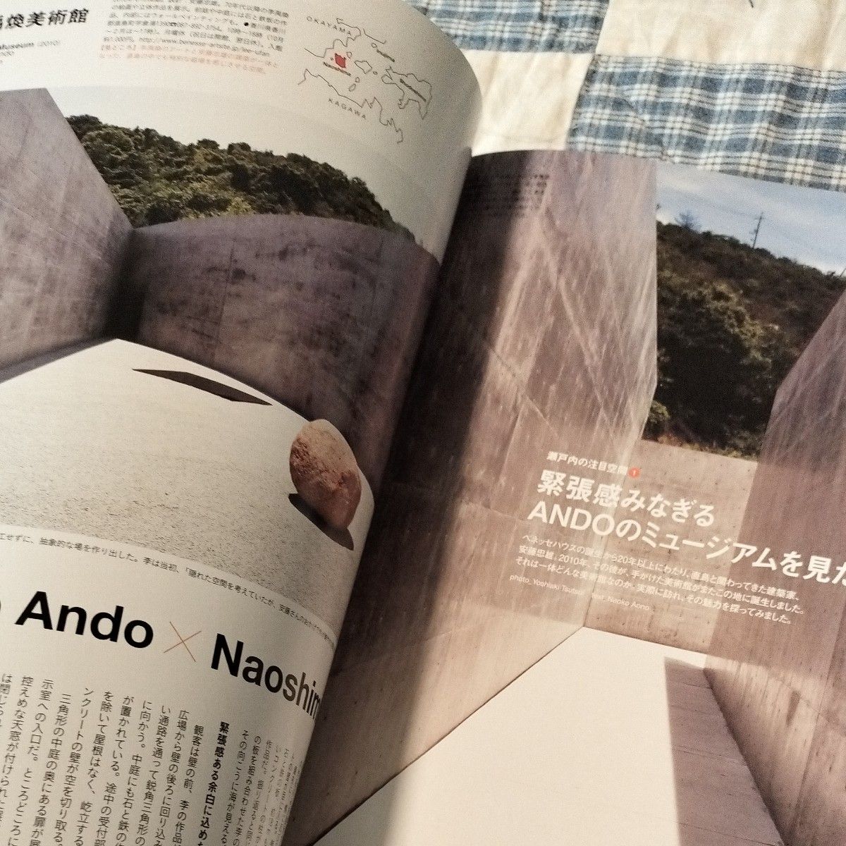 日本の美術館ベスト１００ガイド アートと建築を巡る旅へ！ 保存版 ＣａｓａＢＲＵＴＵＳ特別編集 