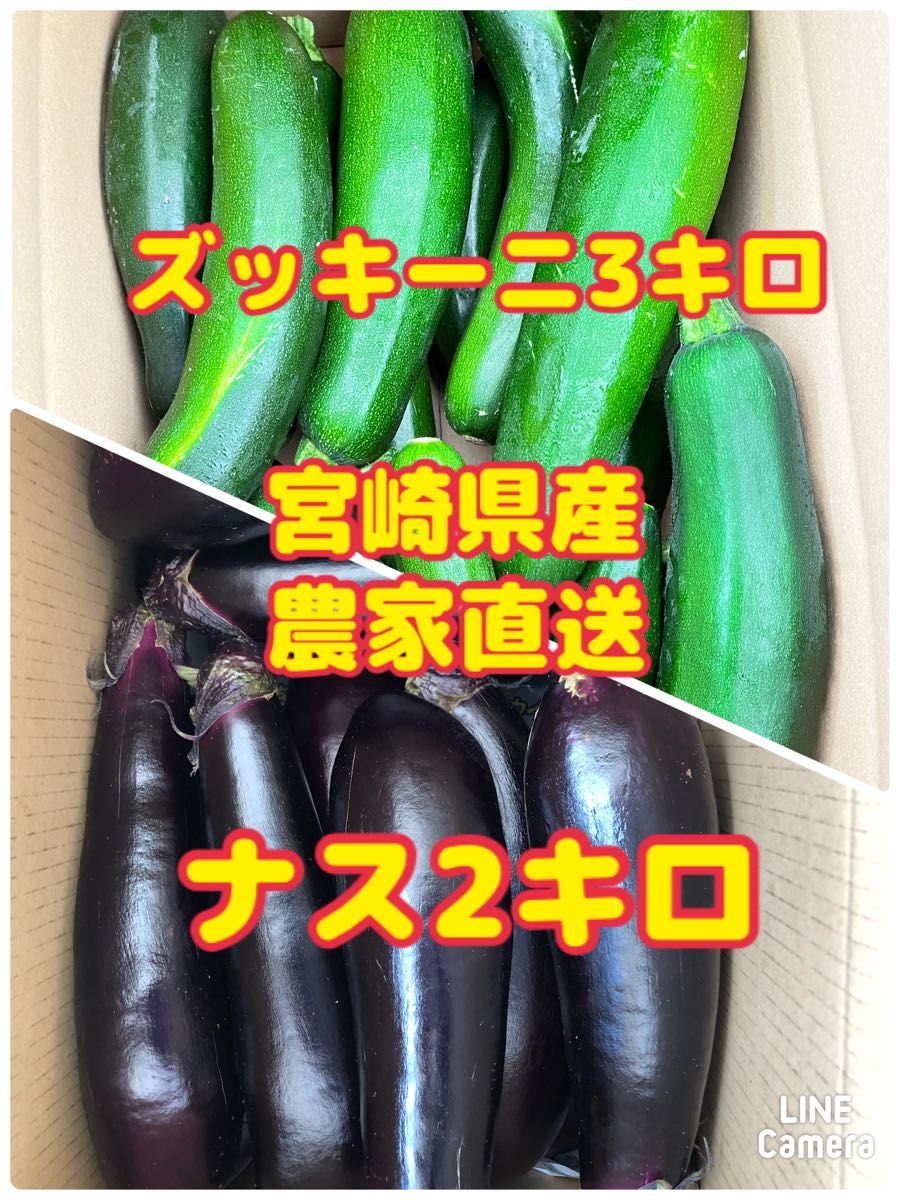 ナス2キロ　ズッキーニ3キロ　宮崎県産