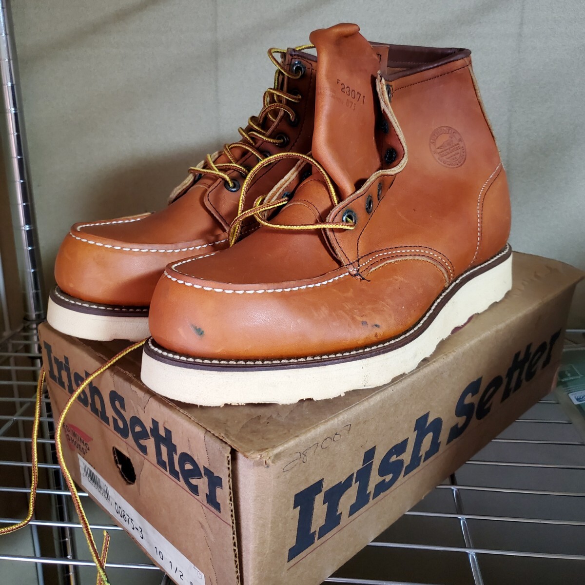 ◆未使用！RED WING 97年 犬刻印 サイズ10 1/2 D アイリッシュセッター◆の画像1