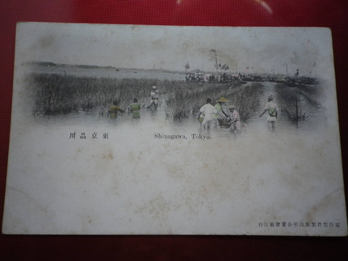 戦前 絵葉書 手採色 東京品川 はがき 郵趣 史料 ポストカードの画像1