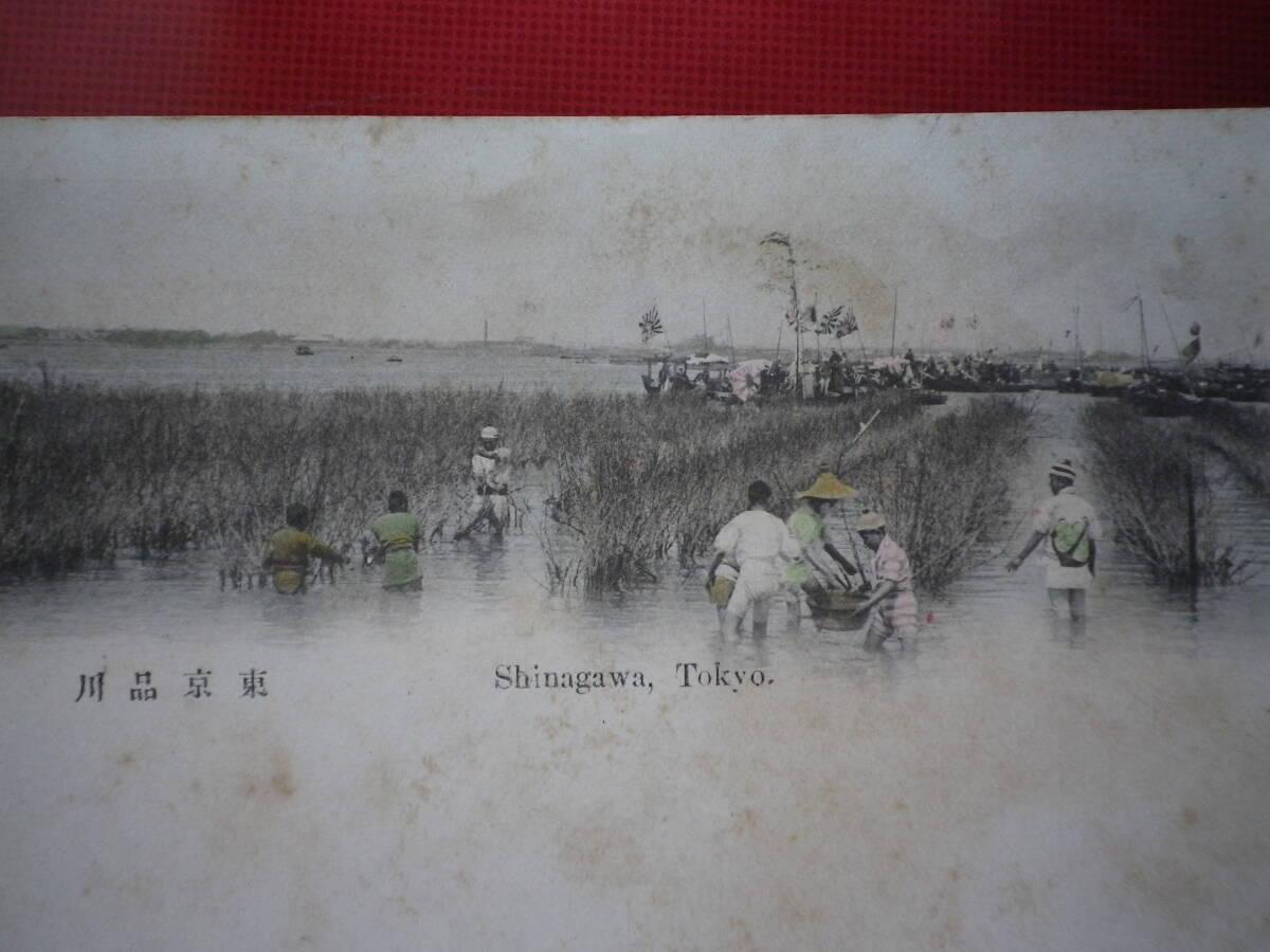 戦前 絵葉書 手採色 東京品川 はがき 郵趣 史料 ポストカードの画像3
