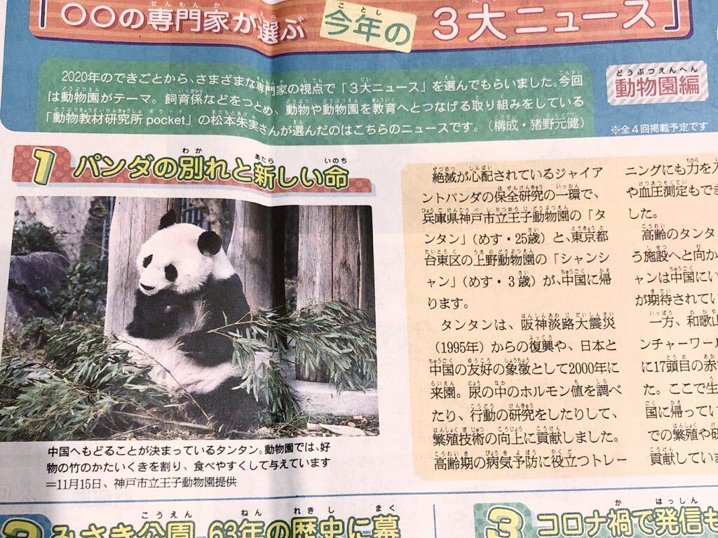 2020 動物園編 今年の3大ニュース 1位 パンダの別れと新しい命 シャンシャン タンタン中国返還 アドベンチャーワールド 楓浜誕生の画像1