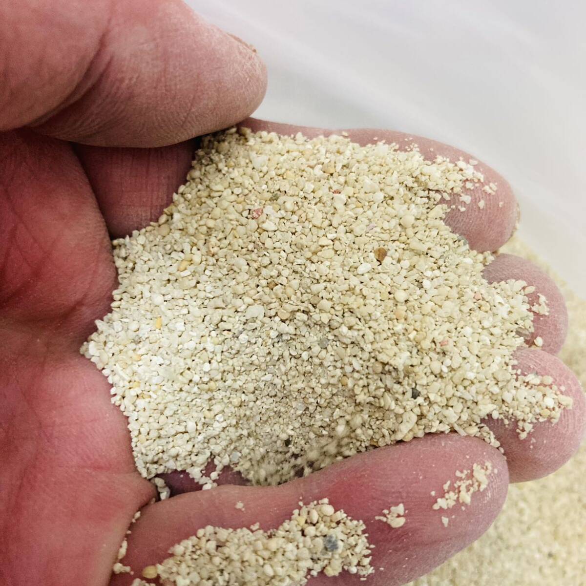  натуральный .. песок 1kg san . песок коралл песок фильтрующий материал морская вода аквариум рак-отшельник Guppy 