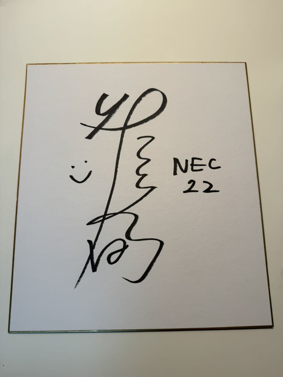 Vリーグ　NECレッドロケッツ 佐藤淑乃選手　直筆サイン色紙　バレーボール　日本代表