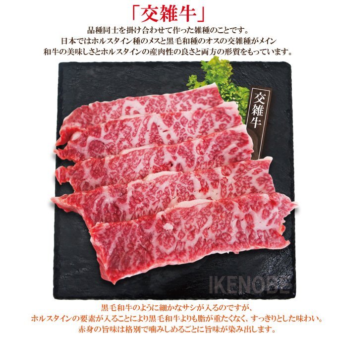 サシ抜群霜降りカルビ黒毛和牛・国産牛・交雑牛使用 500g 冷凍 お歳暮 お中元 ギフト 黒毛和牛 牛肉 松阪牛 サイコロステーキ お取り寄せの画像5