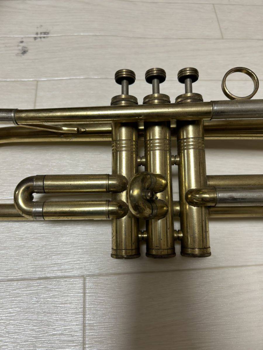 HUTTL Studenthyuteru trumpet (///no.8)