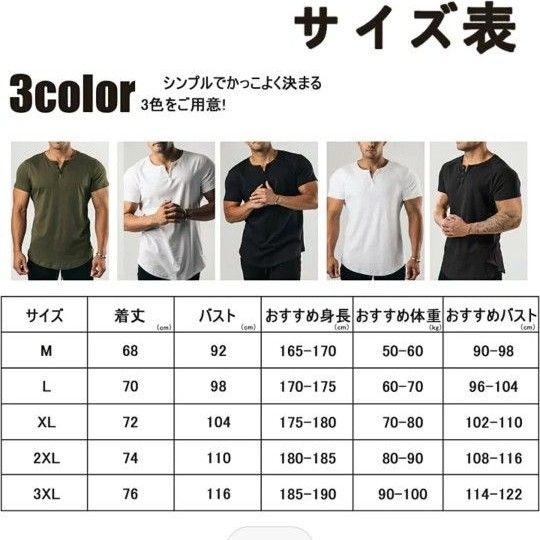 Tシャツ 半袖 L 新品未使用タグ付き