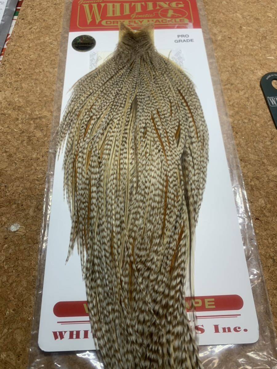 Whiting Pro Rooster Cape Unique Variant ホワイティング　ルースター　ケープ　プロ　ユニークバリアント　_画像2