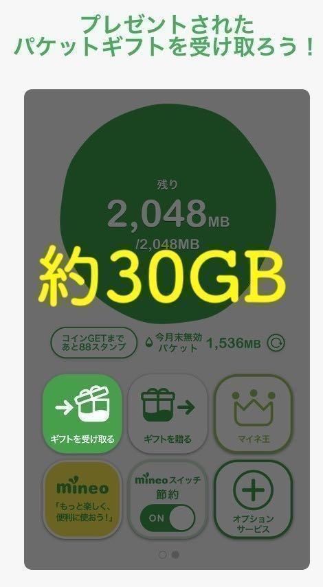 【匿名迅速】定額　マイネオ　mineo パケットギフト 合計約30GB(約10GBの9999MBが3個で1セット)のギフトコード、再発行有_約30GBで他の容量(10,20)と単価共通
