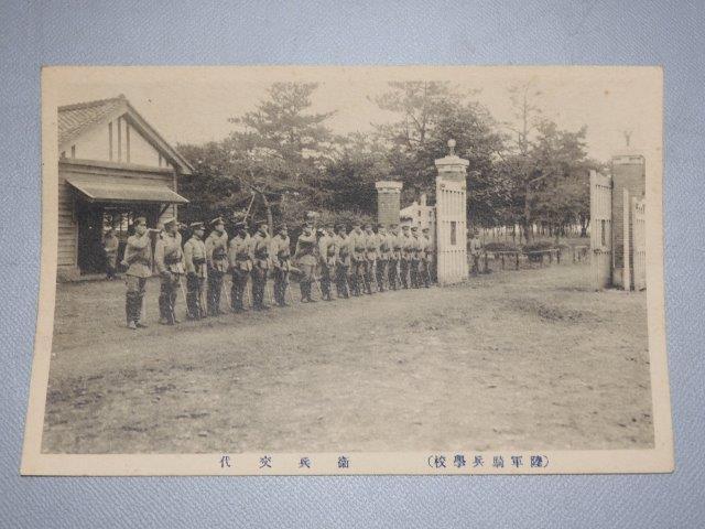 戦前 絵葉書 陸軍騎兵学校 12枚 旧日本軍 陸軍 絵はがき の画像6