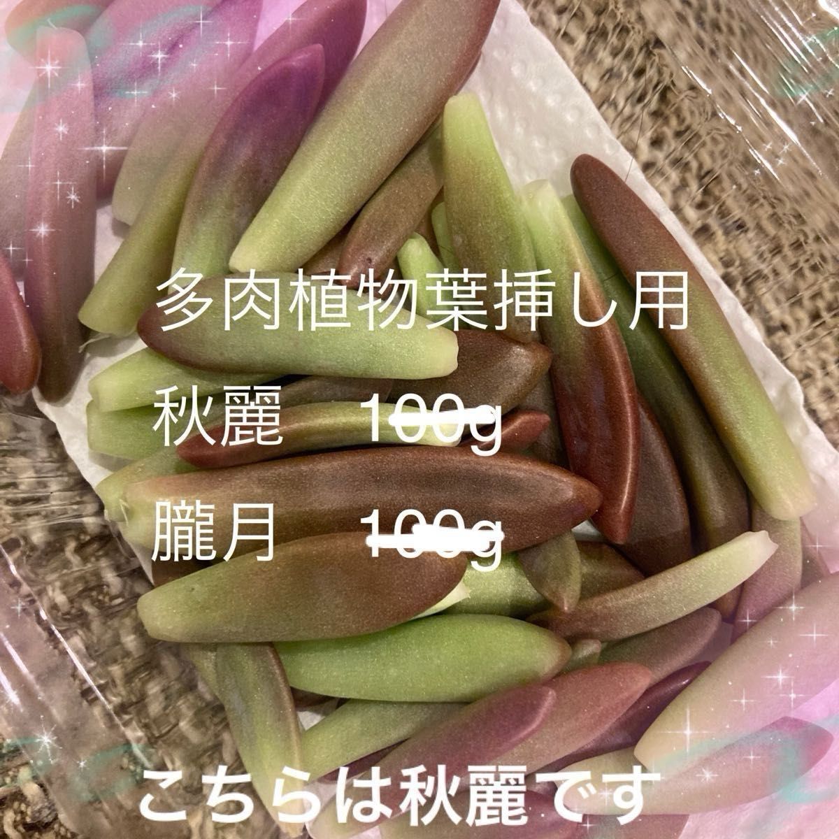 多肉植物葉挿し用　秋麗　朧月他　計200g