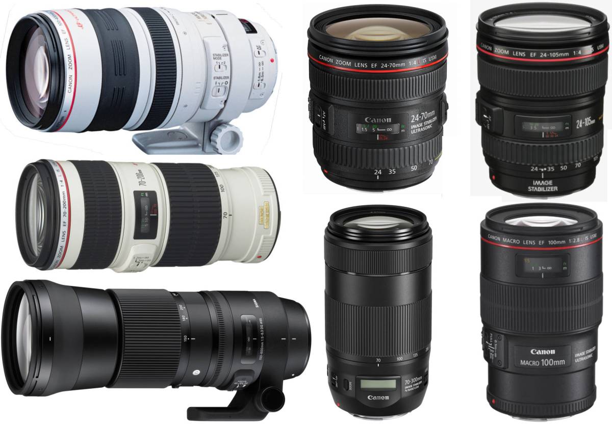 【2日間から~レンタル】Canon EOS 7D Mark Ⅱ 2カメラ 選べるレンズ無料or有料(SDXC64GB＆予備B付)【管理CB02】_無料レンズオプション