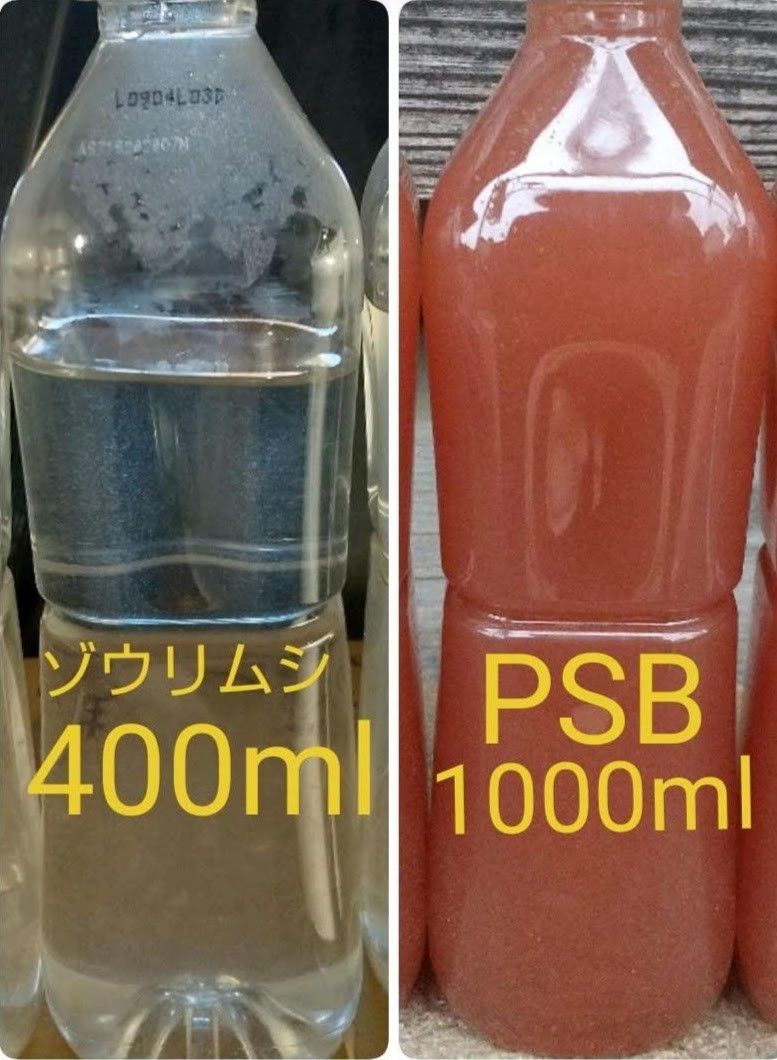 ゾウリムシ　400ml&　PSB(光合成細菌)1000ml。メダカ　金魚　グリーンウォーター 針子