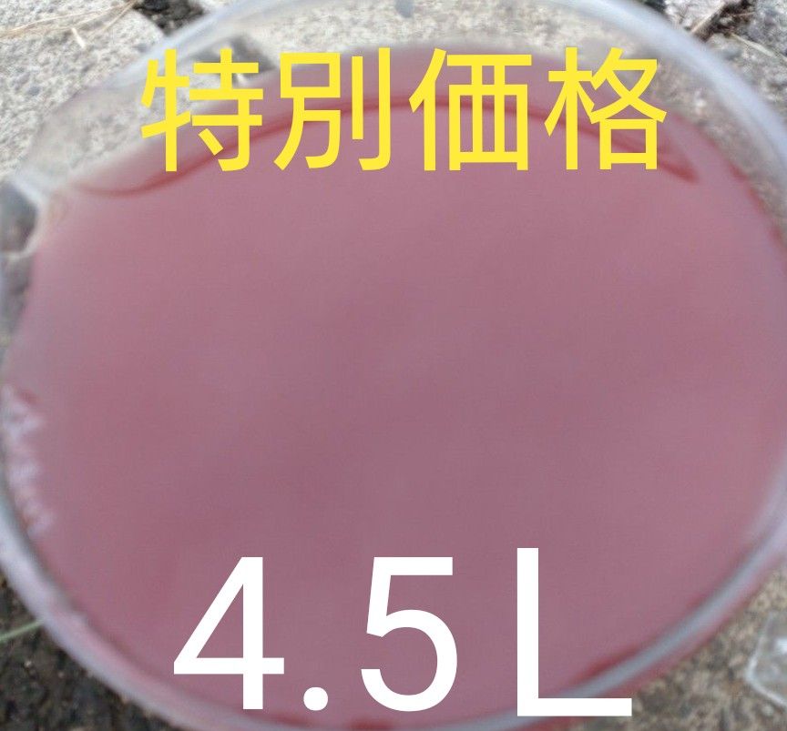 激安。濃厚　PSB(光合成細菌)　1.5L×3本 4.5L。メダカ　めだか　金魚　グリーンウォーター　ミジンコ　ゾウリムシ