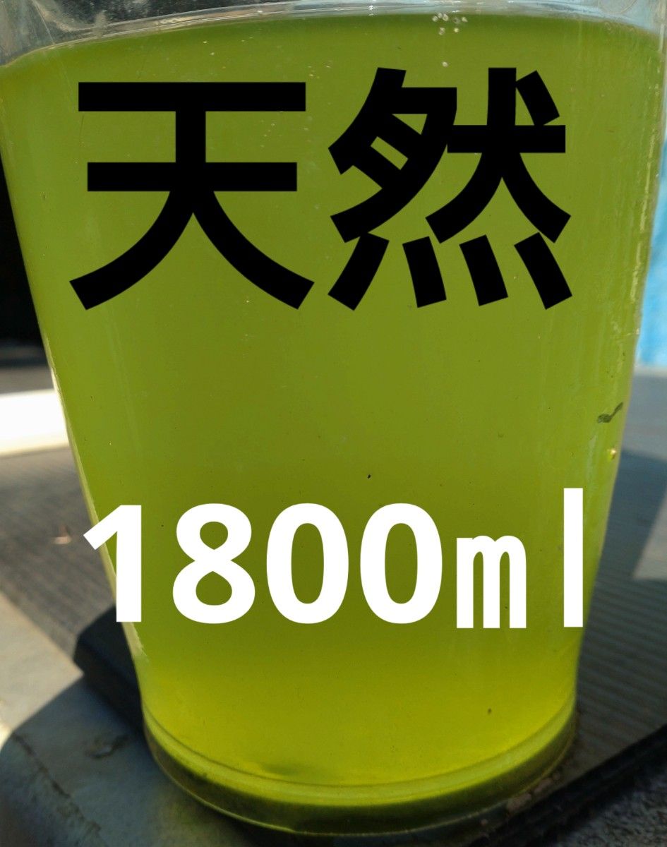 天然 グリーンウォーター(種水．青水) 1800ml。メダカ．金魚　ゾウリムシ　ミジンコ　タマミジンコ　クロレラ　冬眠　