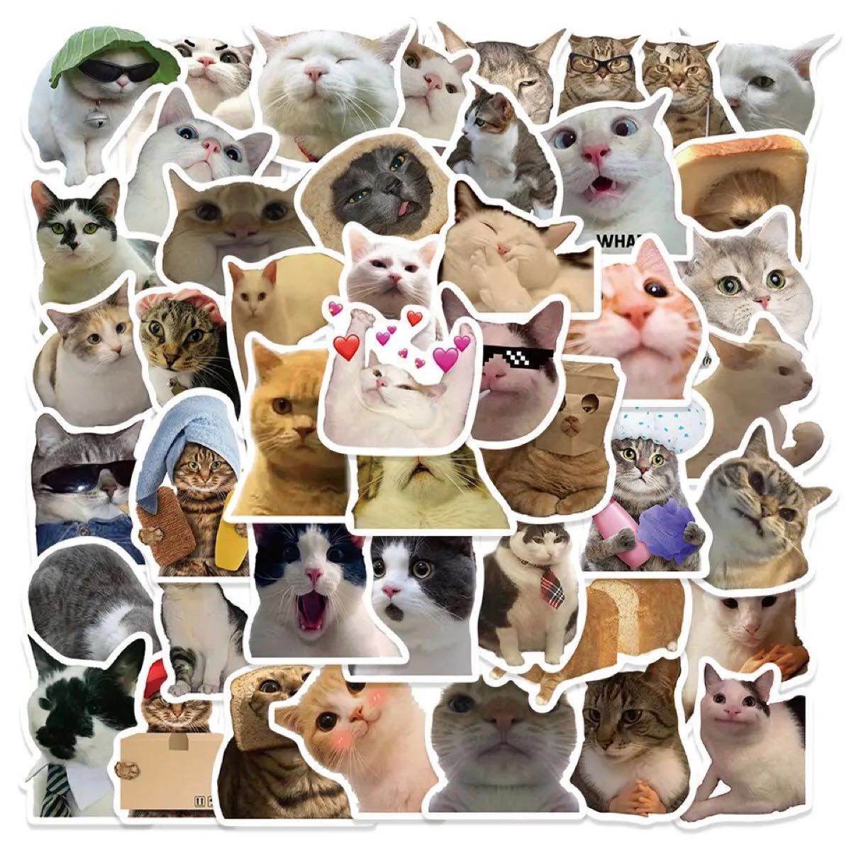 【送料無料】大人気猫ミーム！防水ビニール猫ステッカー50枚！