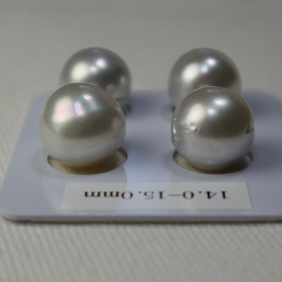 [1 jpy selling out ] White Butterfly pearl loose 14.0-15.0mm. summarize 4 piece 604138