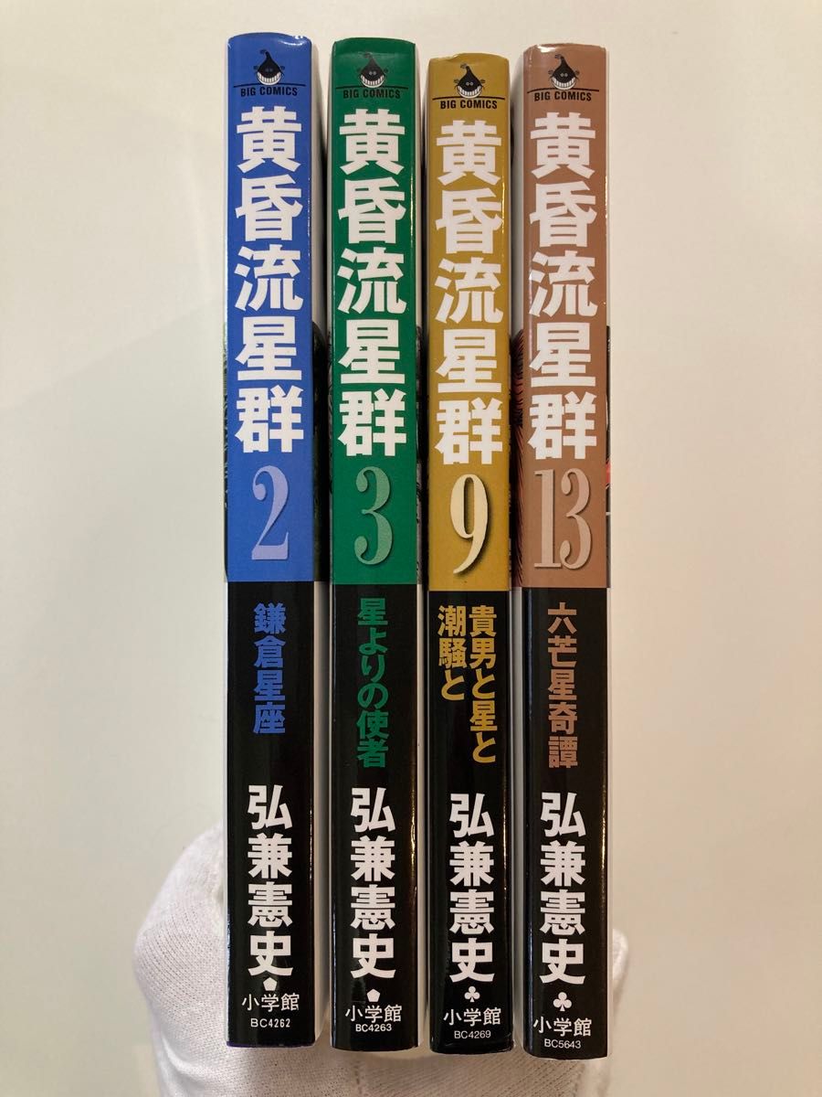 黄昏流星群 13巻　9巻 弘兼憲史 小学館 ビッグコミックス