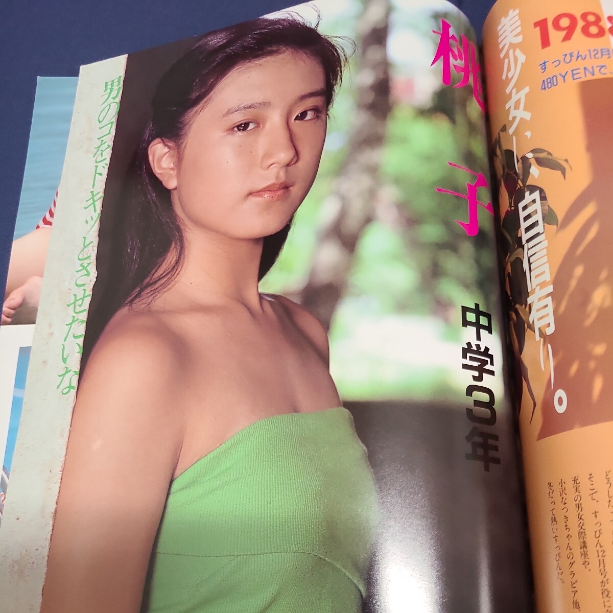 Yahoo!オークション - すっぴん12月号増刊 198 Yahoo!オークション - すっぴん12月号増刊 198