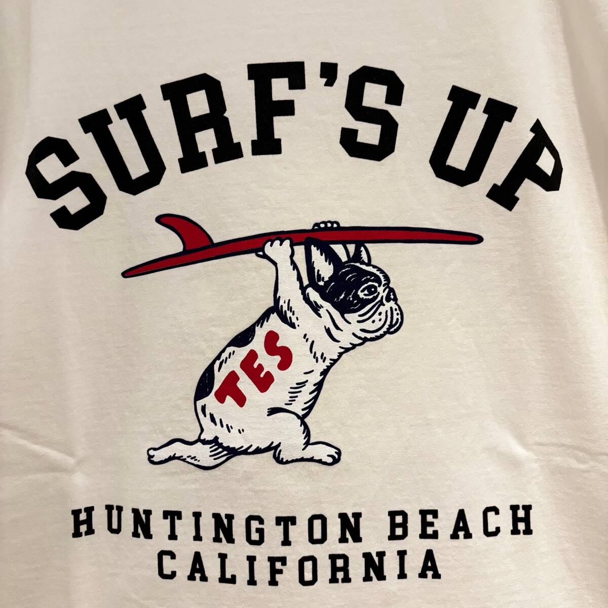 【展示品】サイズL TES SURF'S UP COLLEGE T-SHIRT テス ブヒ エンドレスサマー Tシャツの画像3