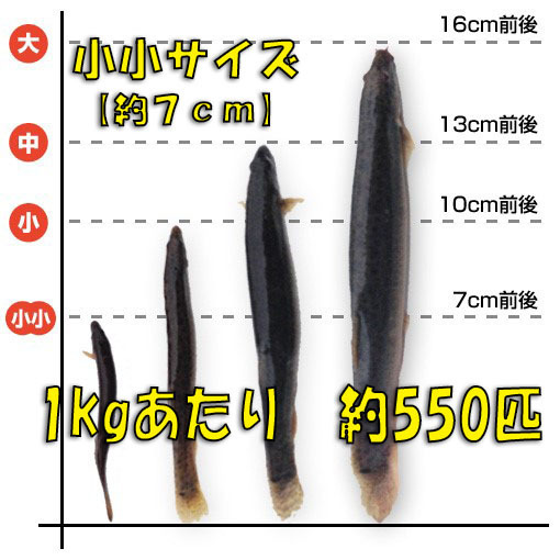 ◇【活どじょう】小小1kｇ(約7cm・平均550匹)泥鰌・食用・活き餌・釣り餌・生餌・熱帯魚・古代魚のエサにはドジョウ☆えさ・川魚・淡水魚の画像1