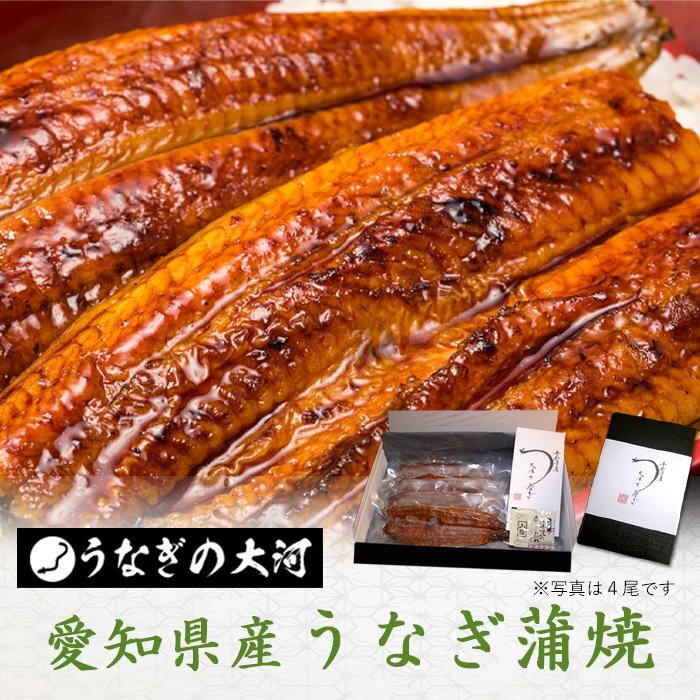 * with translation Aichi prefecture production *.....(133g~150g)x8 tail : freezing vacuum pack eel .. eel domestic production free shipping : one part region object out 