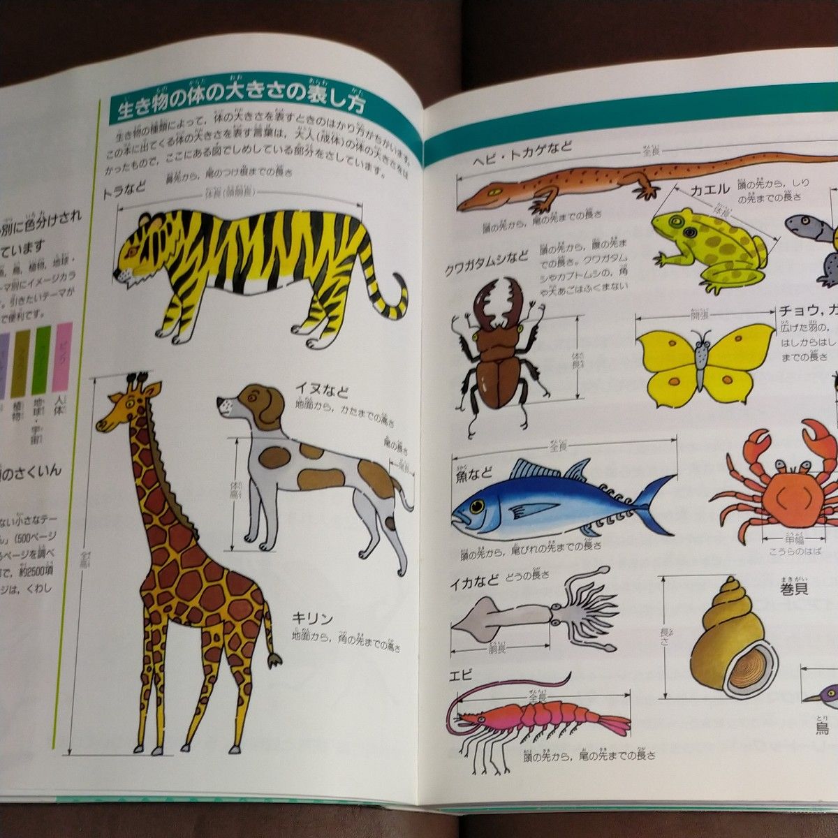 ジュニア自然大図鑑エコロ［特装版］動物・昆虫・魚・鳥・植物・地球・宇宙・人体  ／学研 ビニールカバーつき